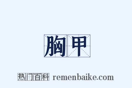 胸甲是什么意思的图片
